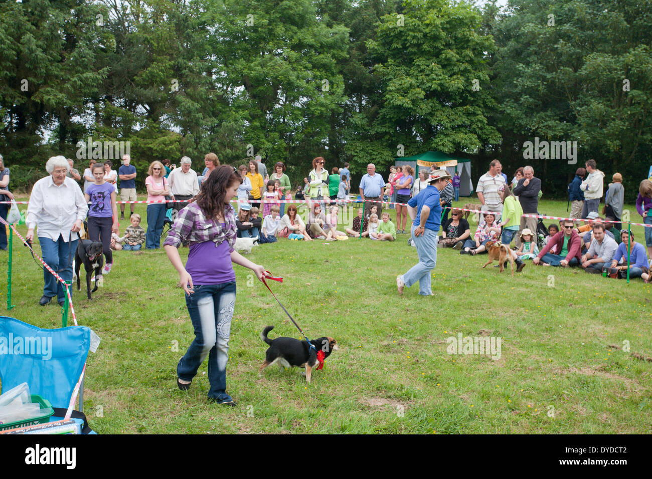 Eine Hundeausstellung in einem örtlichen Messe in Norfolk. Stockfoto