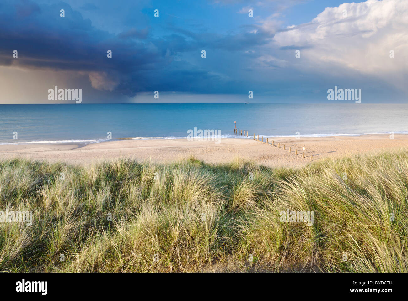 Sanddünen bei Horsey und einem dramatischen Sommergewitter, am Meer. Stockfoto