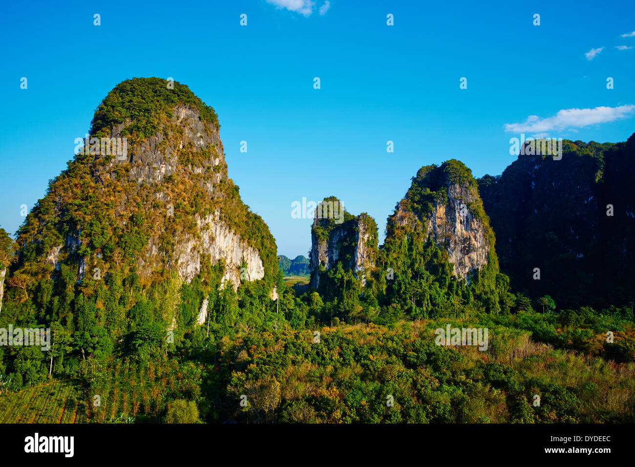 Thailand, Provinz Krabi, Ao Phra Nang Landschaft Stockfoto