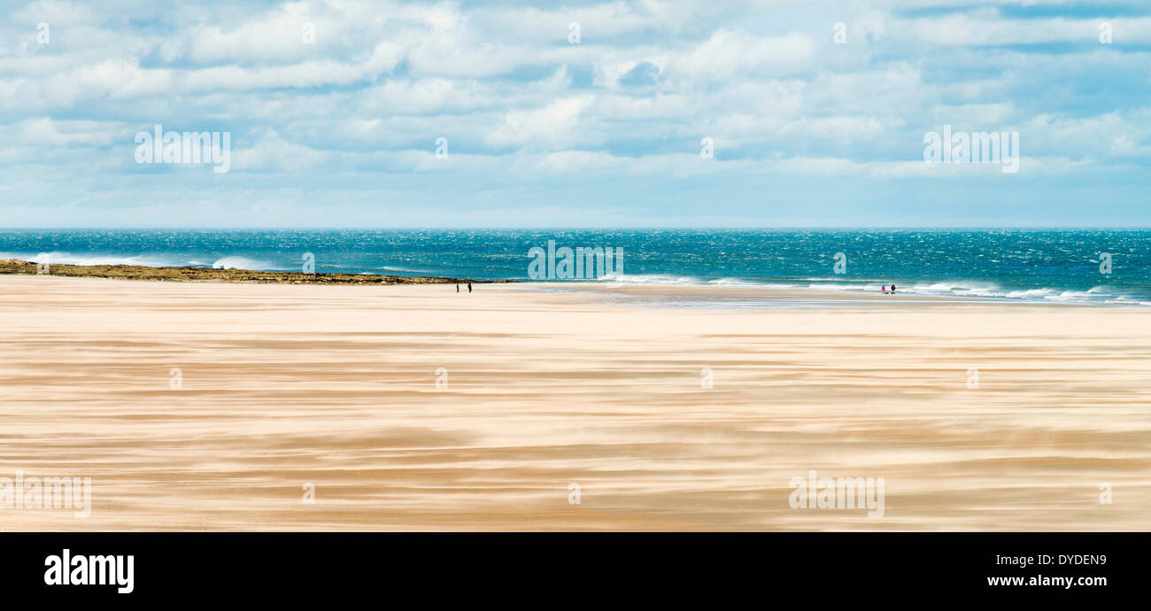 Windiger Tag am Sandstrand zwischen Bamburgh und gemeinsame. Stockfoto