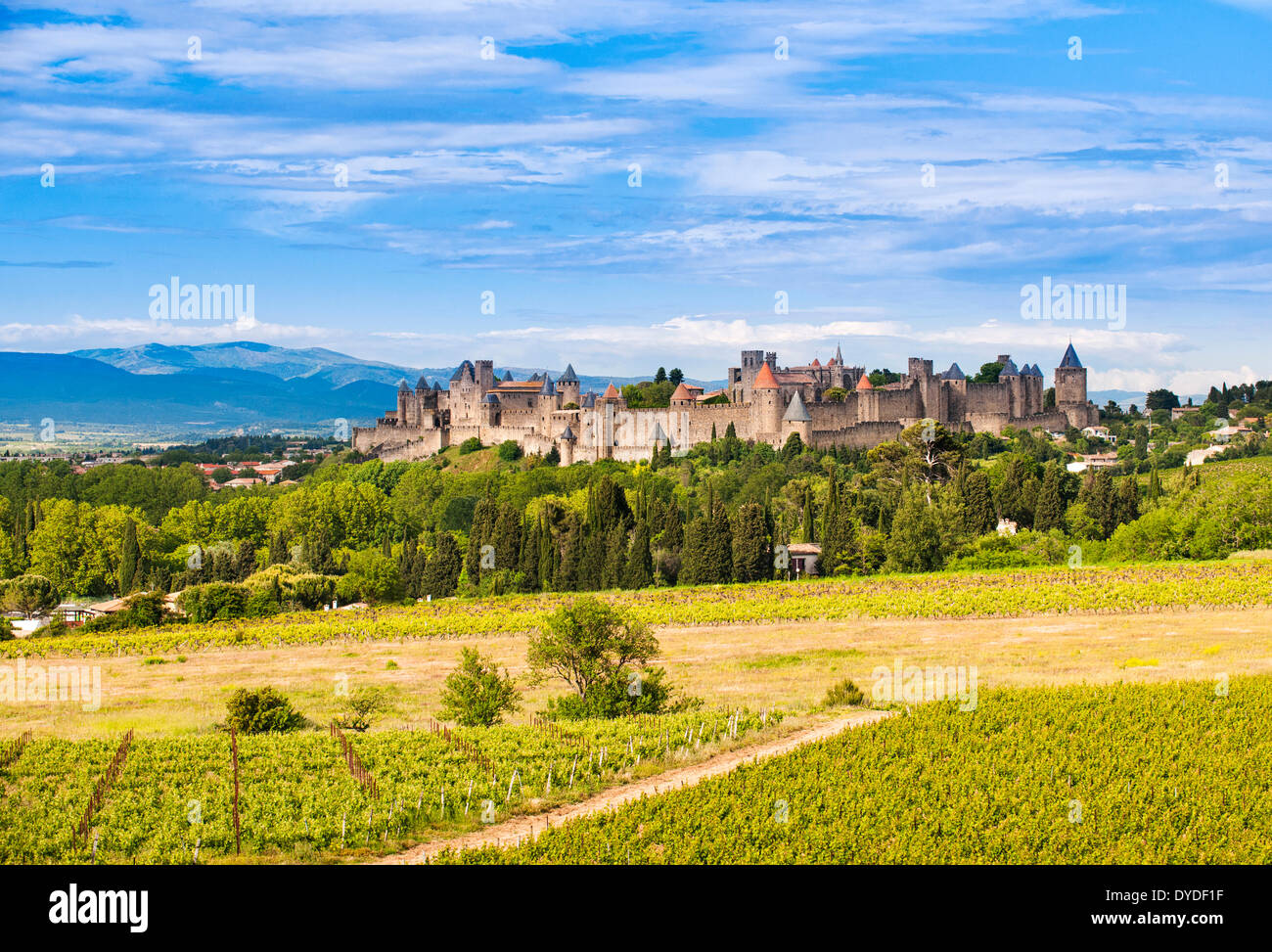 Die befestigte Stadt Carcassonne. Stockfoto