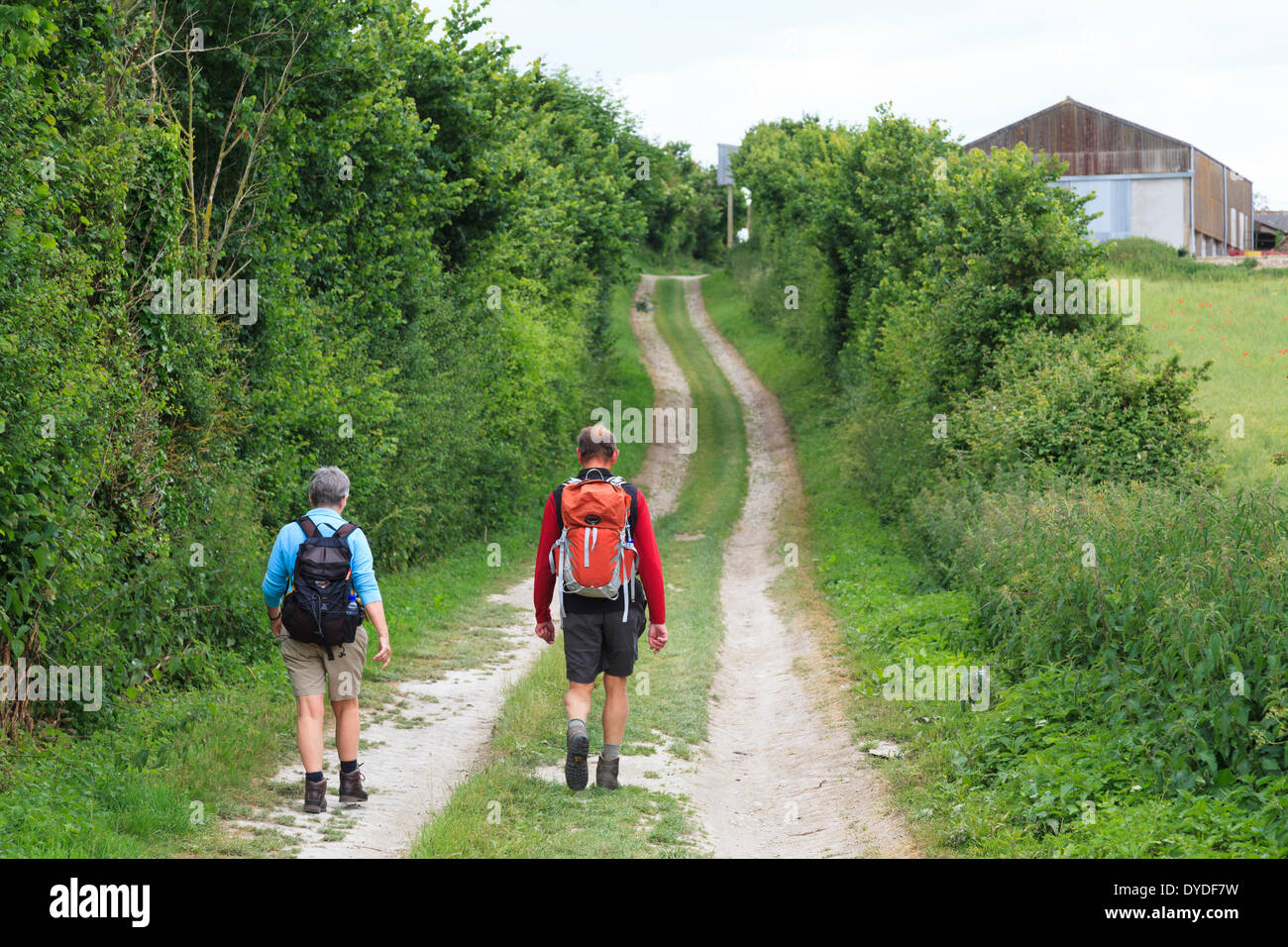 Späten Mittleren Alter Mann und Frau Wanderer in kurzen Hosen auf Land Feldweg mit Rucksäcken. Stockfoto