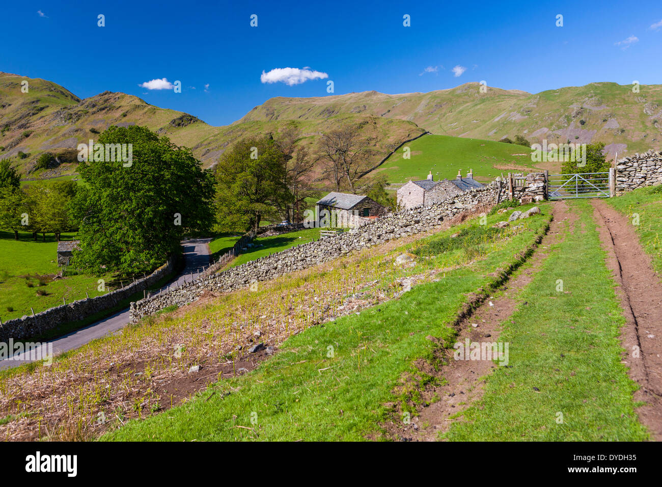 Ein Blick über die Landschaft im ländlichen Raum in den Lake District National Park. Stockfoto