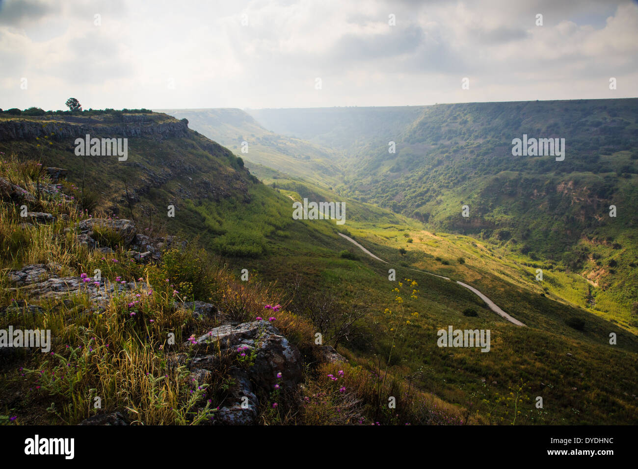 Naturschutzgebiet Gamla, Golanhöhen, Israel. Stockfoto