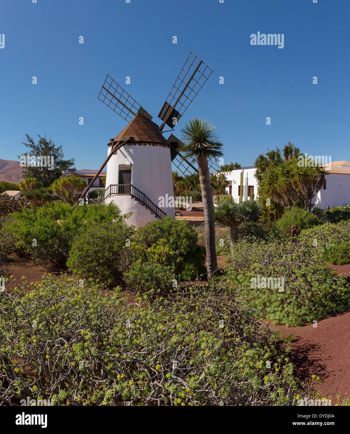 Spanien Europa Fuerteventura Kanarische Inseln Antigua Molino