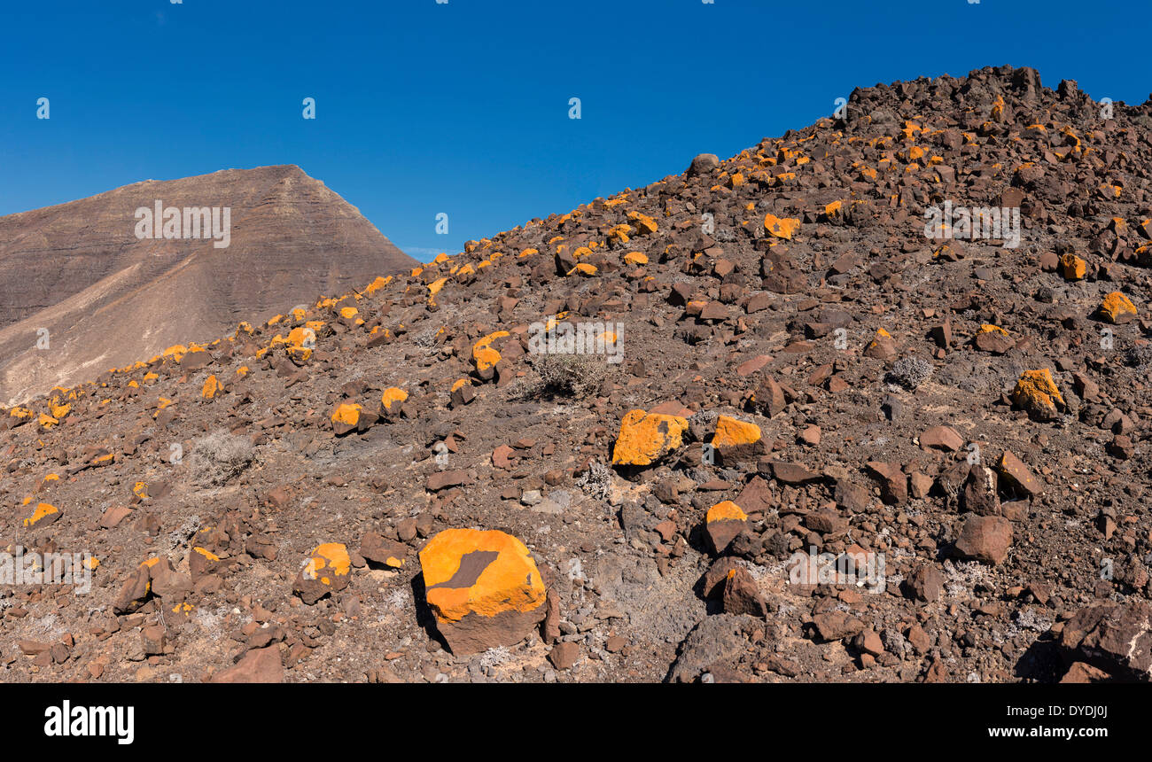 Spanien Europa Fuerteventura Kanaren Morro Jable Carretera Punta de Jandia Park Parque Natural Jandia Landschaft Sommer hill Stockfoto