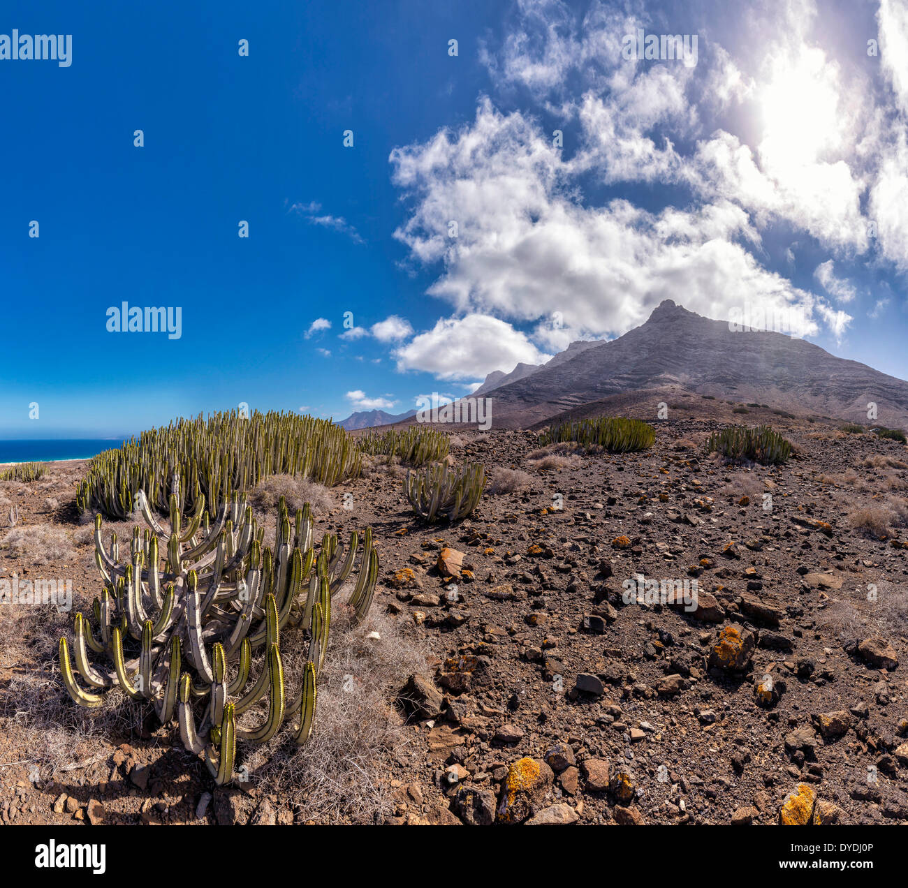 Spanien Europa Fuerteventura Kanaren Morro Jable Carretera Cofete Park Parque Natural Jandia Pico De La Zarza Landschaft Summe Stockfoto