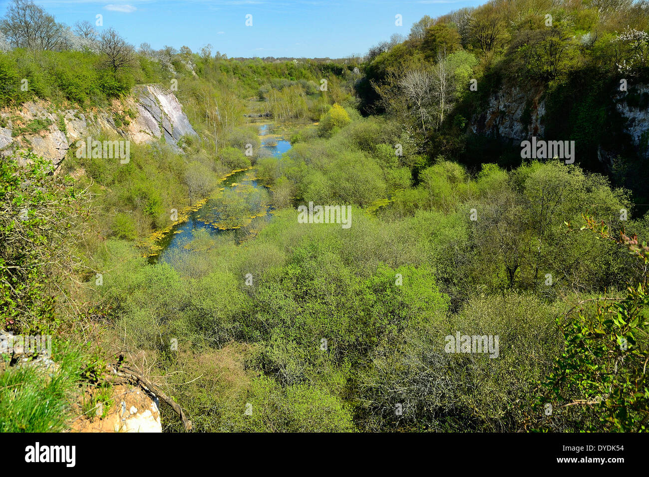 Alten Kalk-Steinbruch, Echologia Park (Mayenne, Land der Loire, Frankreich). Stockfoto