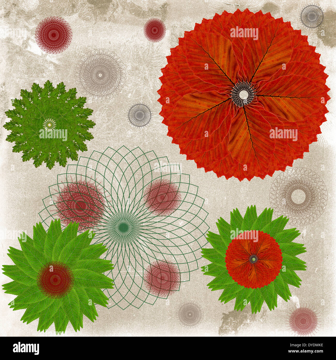 Dekorative Karte oder abstrakten Hintergrund mit floralen Blatt-Muster Stockfoto
