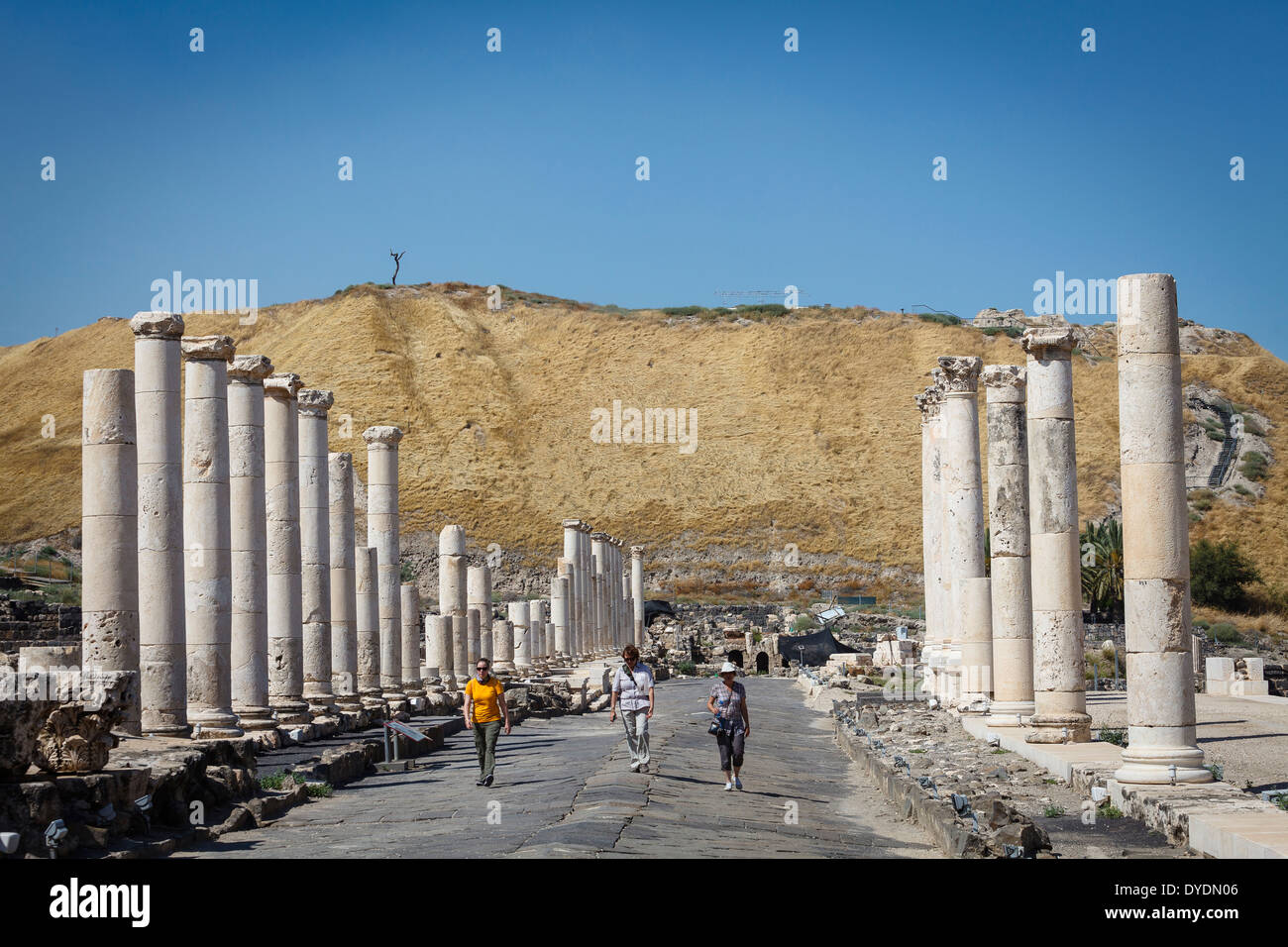 Ruinen der römisch-byzantinischen Stadt Skythopolis, Tel Beit Shean Nationalpark Beit Shean, Israel. Stockfoto