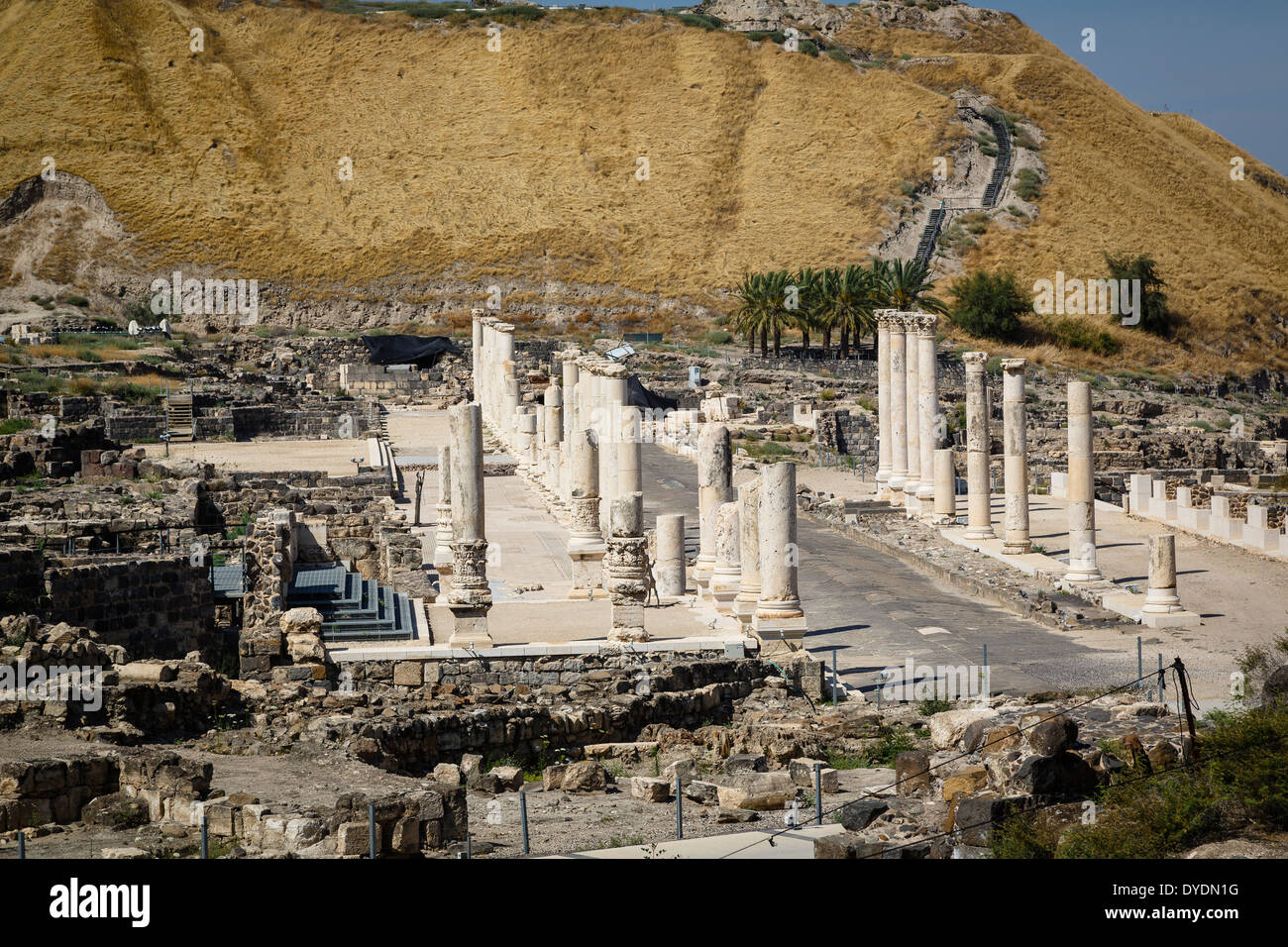 Ruinen der römisch-byzantinischen Stadt Skythopolis, Tel Beit Shean Nationalpark Beit Shean, Israel. Stockfoto