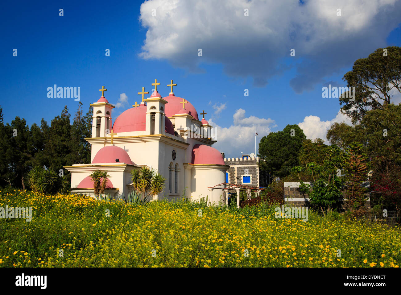 Die griechisch-orthodoxe Kirche der zwölf Apostel in Kapernaum durch den See Genezareth - See Tiberias, Israel. Stockfoto