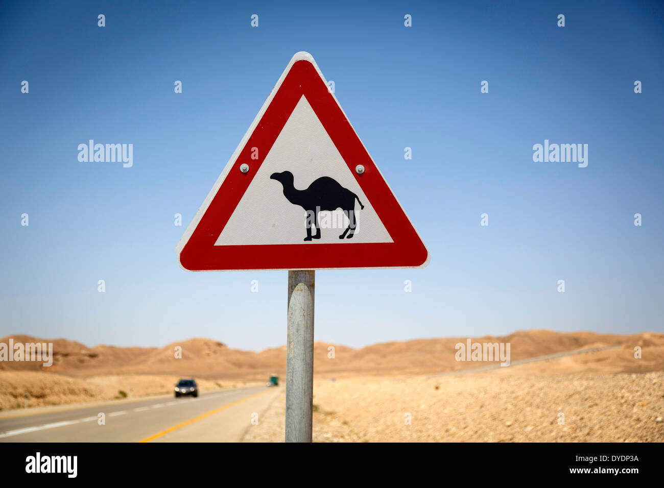 Vorsicht bei Kamelen Zeichen, Negev Region, Israel. Stockfoto