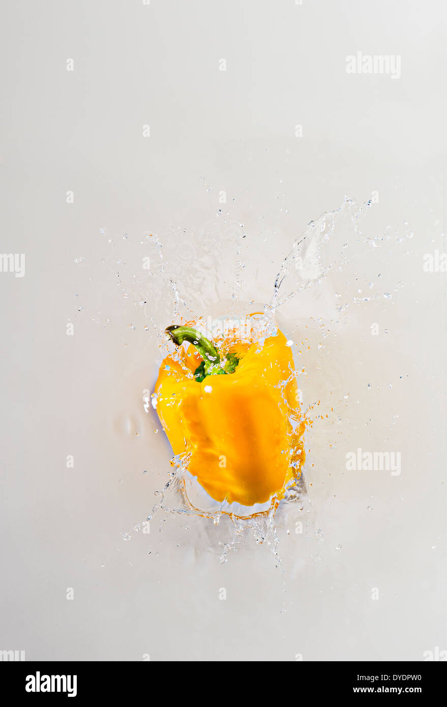 Gelbe Paprika, planschen im Wasser, weißen Hintergrund Stockfoto