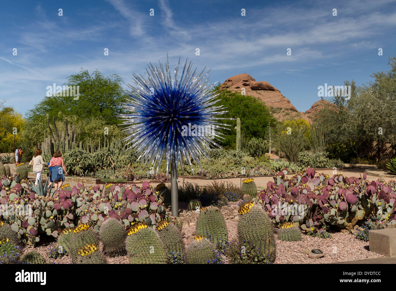 Glas Skulptur Desert Botanical Gardens Phoenix Arizona Usa