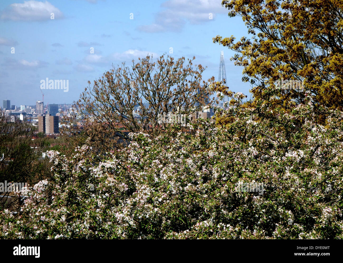 Nördlich von oben auf Telegraph Hill in Süd-London mit der Scherbe in Ferne anzeigen Stockfoto