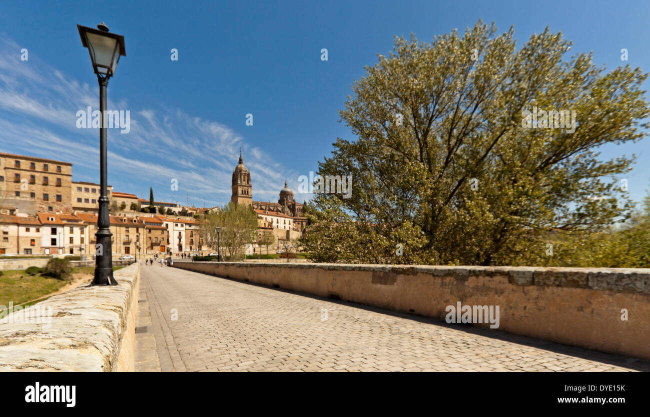 Blick von der Puente Romano a.k.a. die alte römische auf der neuen Kathedrale, Salamanca, Castilla y León, Spanien Brücke. Stockfoto