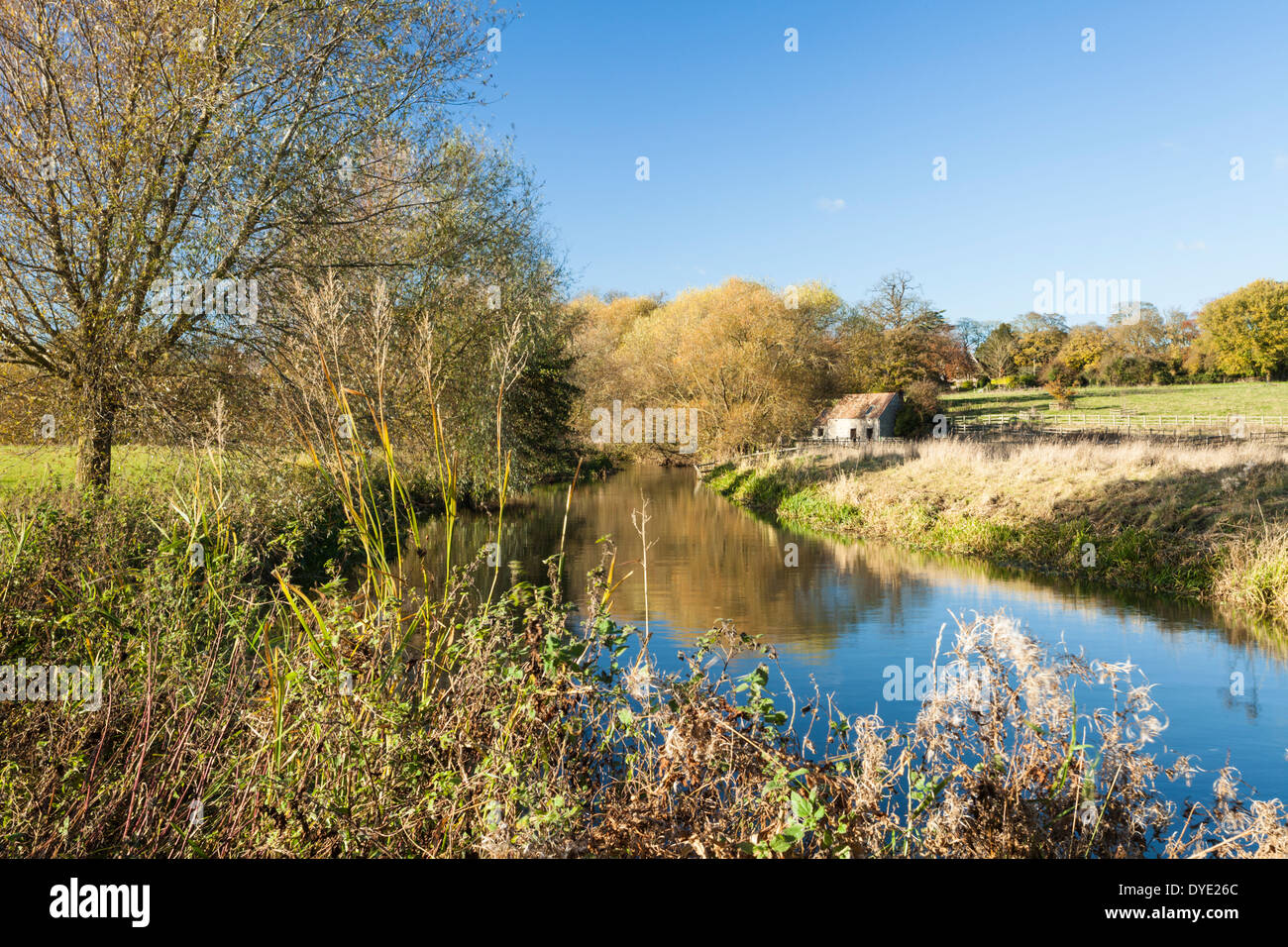 Eine herbstliche Szene neben dem Fluss Nene Mitte November in der Nähe von Waddenhoe im Osten Northamptonshire, England Stockfoto
