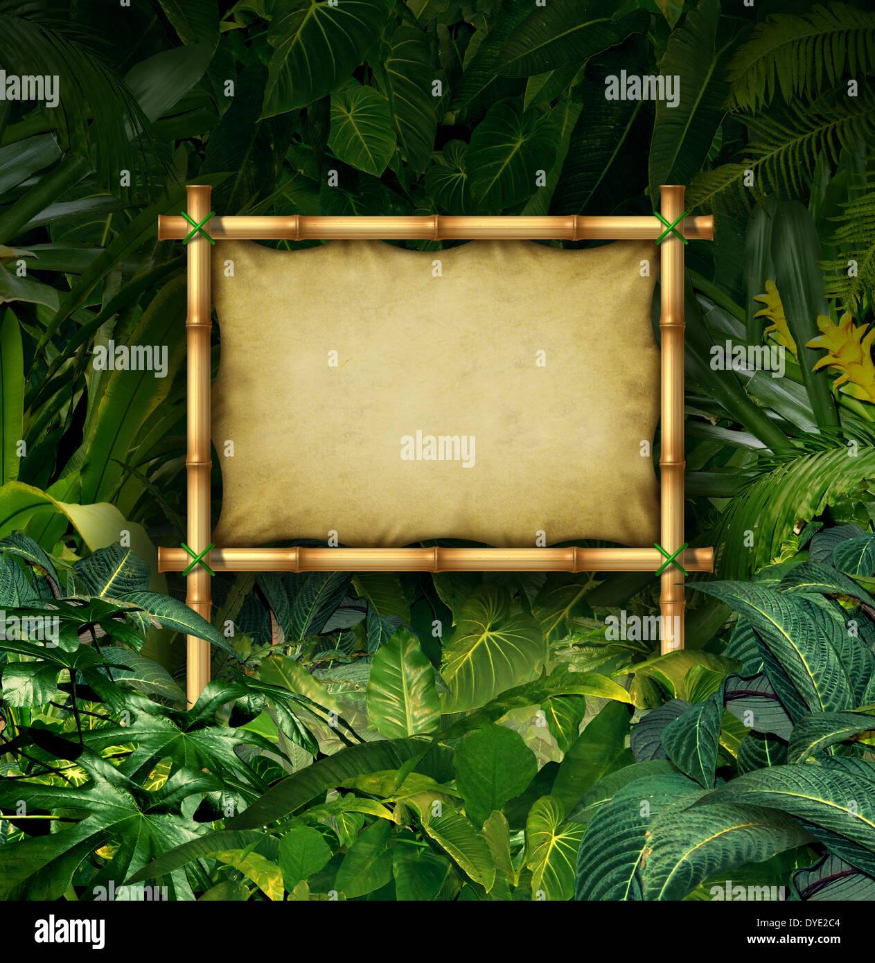Dschungel Zeichen leeren Plakatwand Konzept als Bambus Banner in eine tropische Pflanze Wald voller grüner Vegetation als Symbol der Natur Kommunikation oder ökologische Werbung. Stockfoto