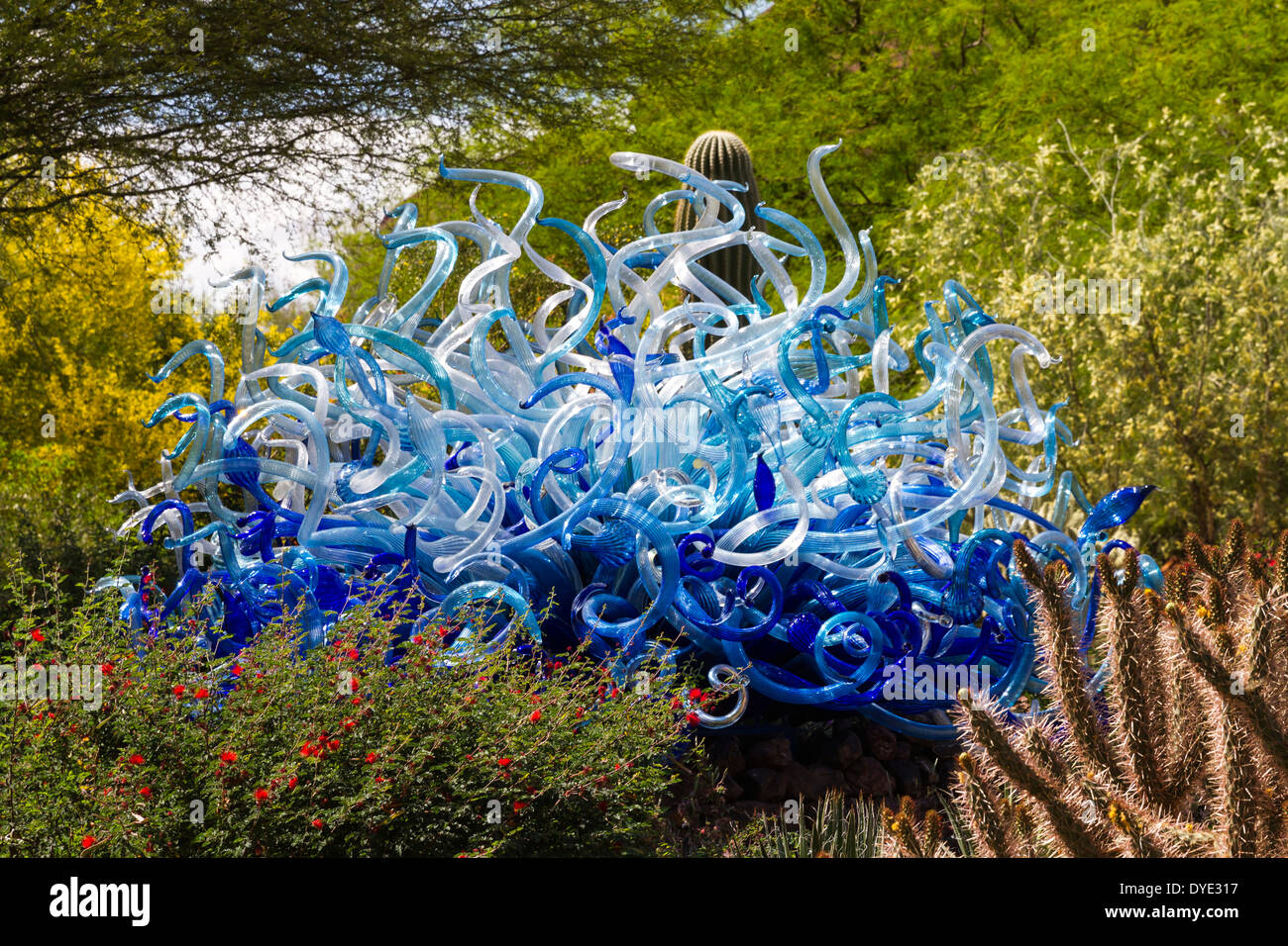 Glas Skulptur Desert Botanical Gardens Phoenix Arizona Usa