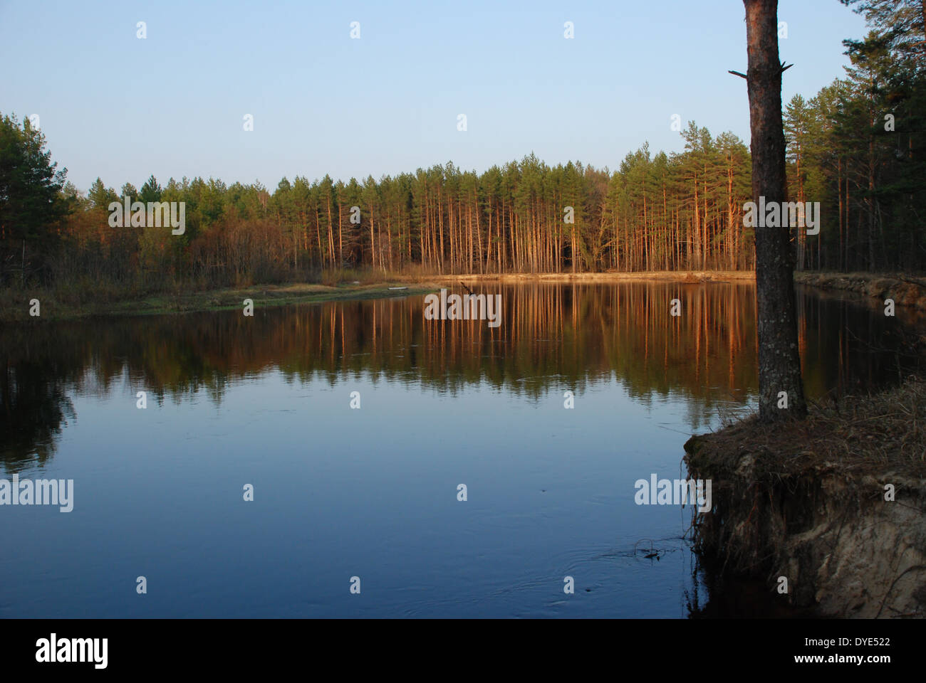 Die Frühlingslandschaft des Flusses in den Nationalpark "Meshera", Oblast Rjasan, Russland. Stockfoto