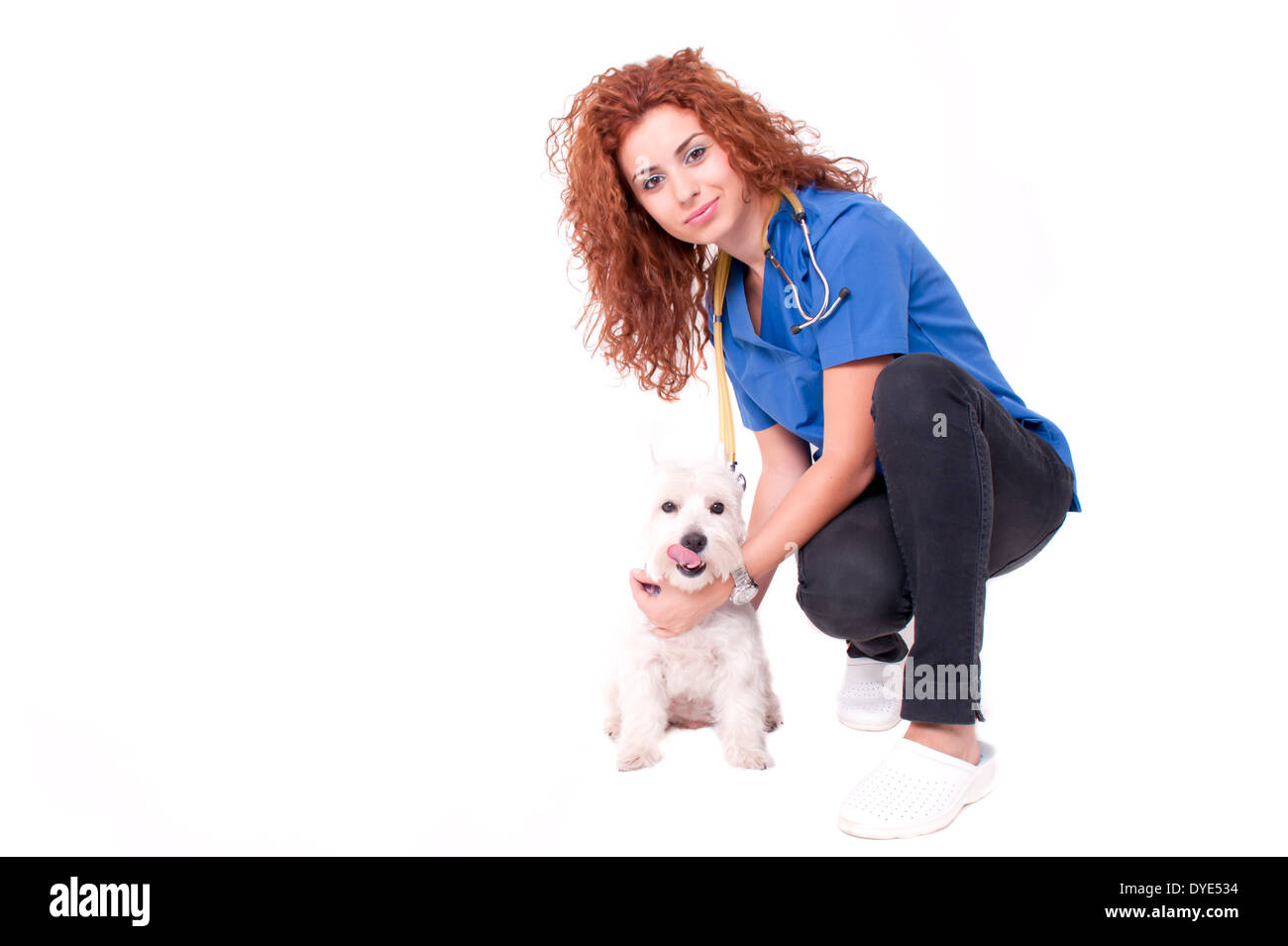 Tierarzt-Frau mit Hund Stockfoto