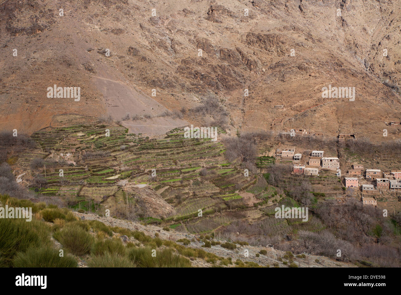 Hillside Farm im Atlas-Gebirge Stockfoto