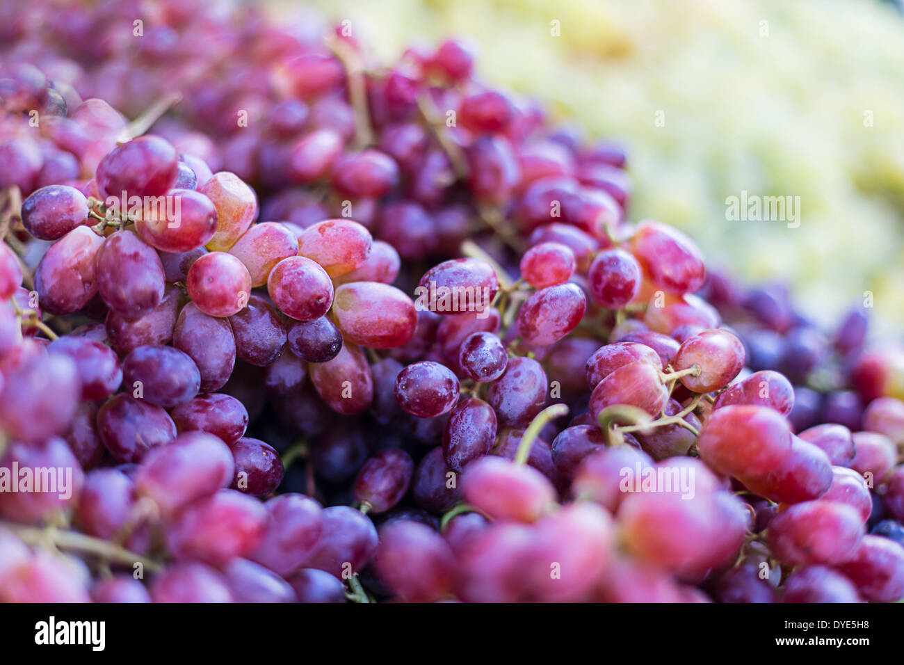 Haufen von frischem süßen Trauben auf dem Markt Stockfoto