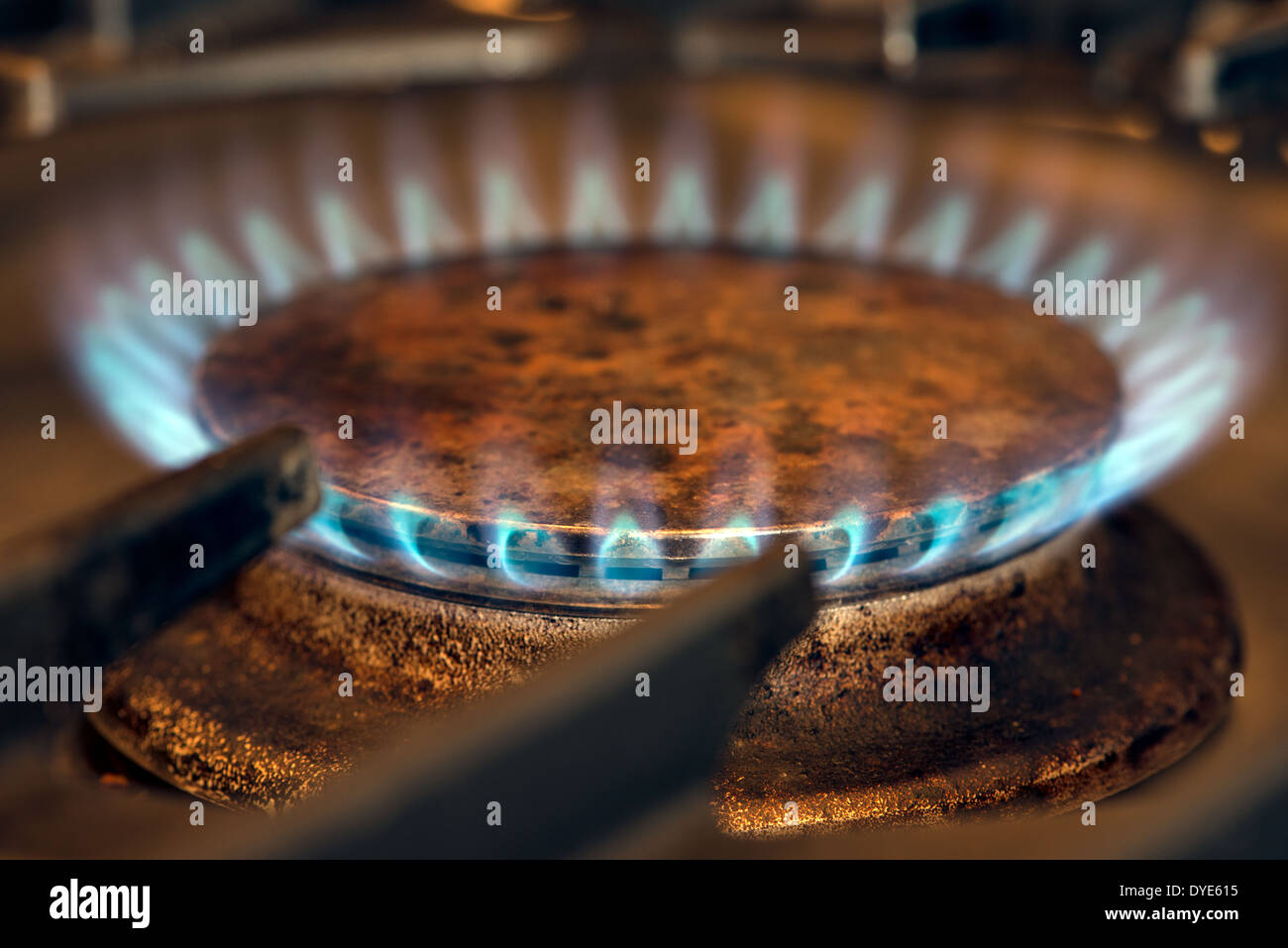 Eine Nahaufnahme von einem blauen Gasflammen Brennen auf einem Küche Herd Gas Rig oder Brenner Stockfoto