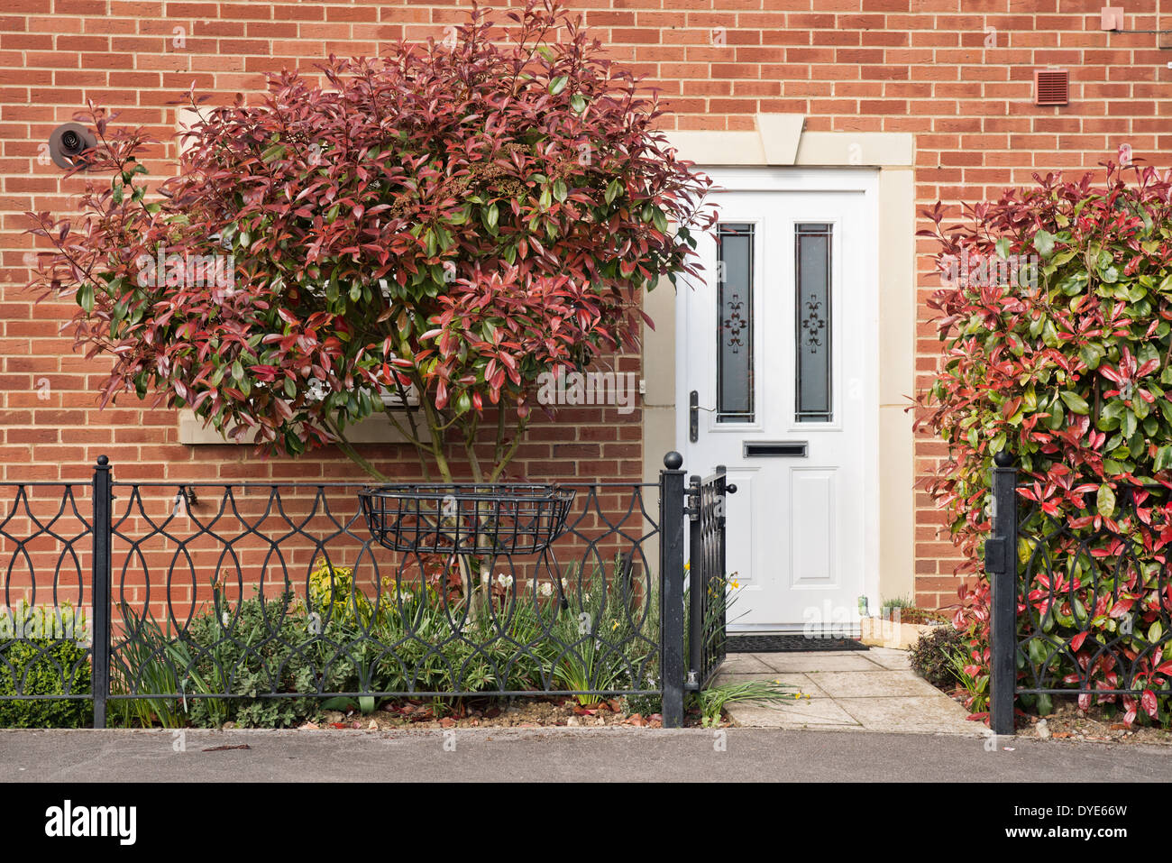 Eine moderne UK Hause zeigt einen weißen Upvc Eingangstür, Eisentor & Zaun aus rotem Backstein vorne. Das Fenster wird durch einen Baum verdeckt. Stockfoto
