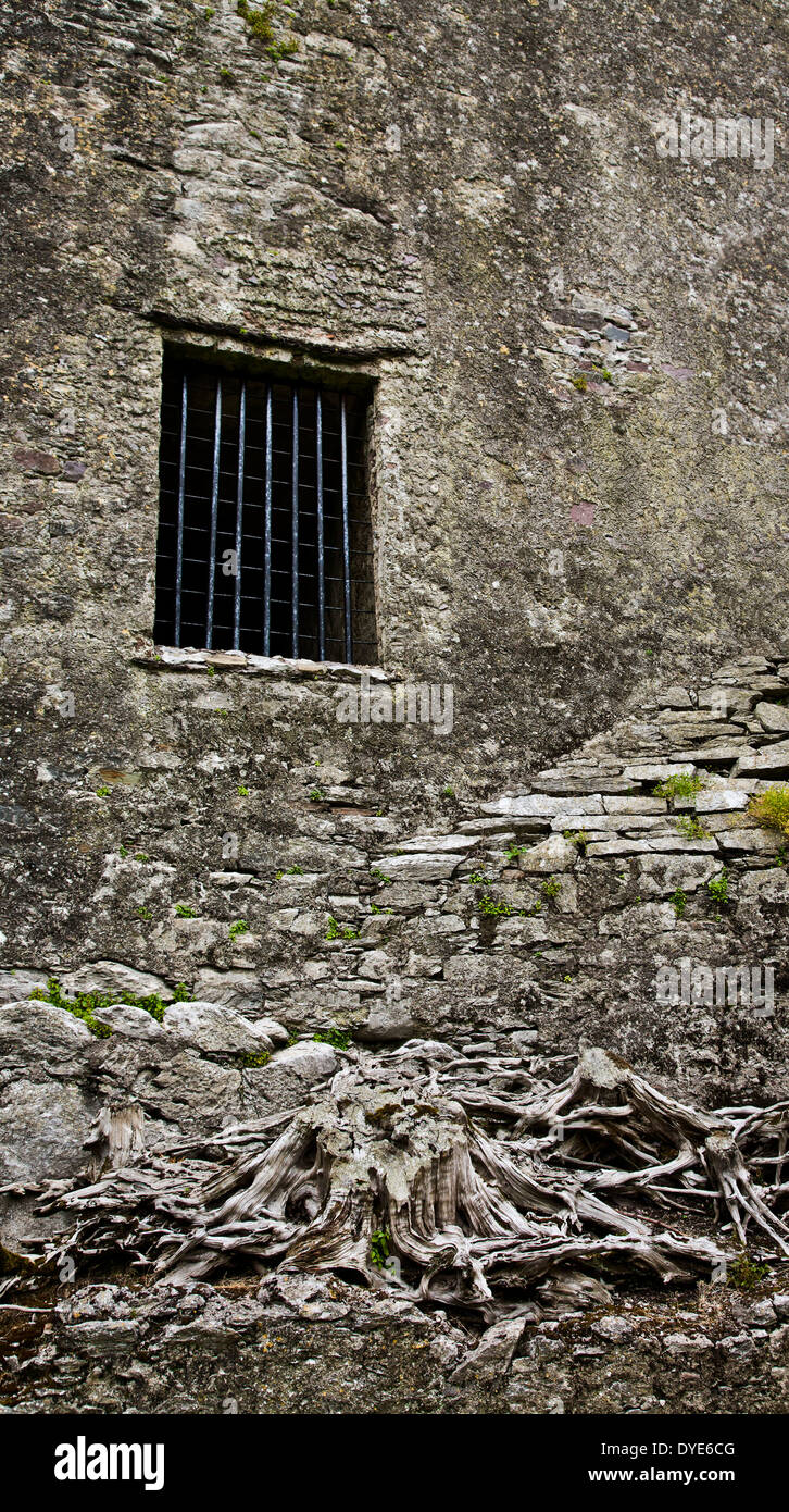 Historische Stätte Blarney Castle Außenfenster aus nächster Nähe mit Bars in der Grafschaft Cork, Irland. FS 12,58 MB 300ppi. Vintage-Wand Stockfoto