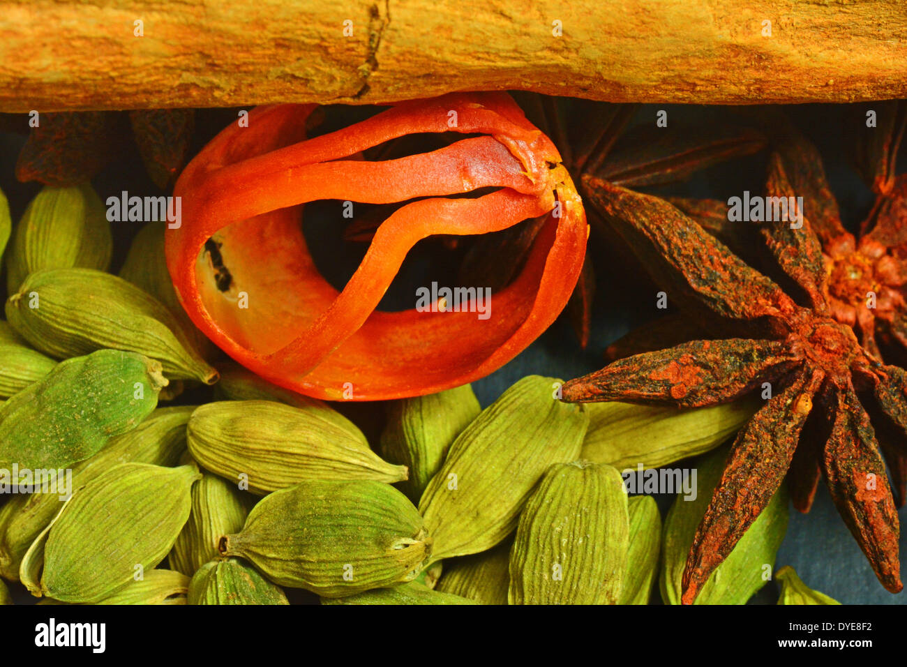 verschiedene Gewürze aus Kerala Stockfoto