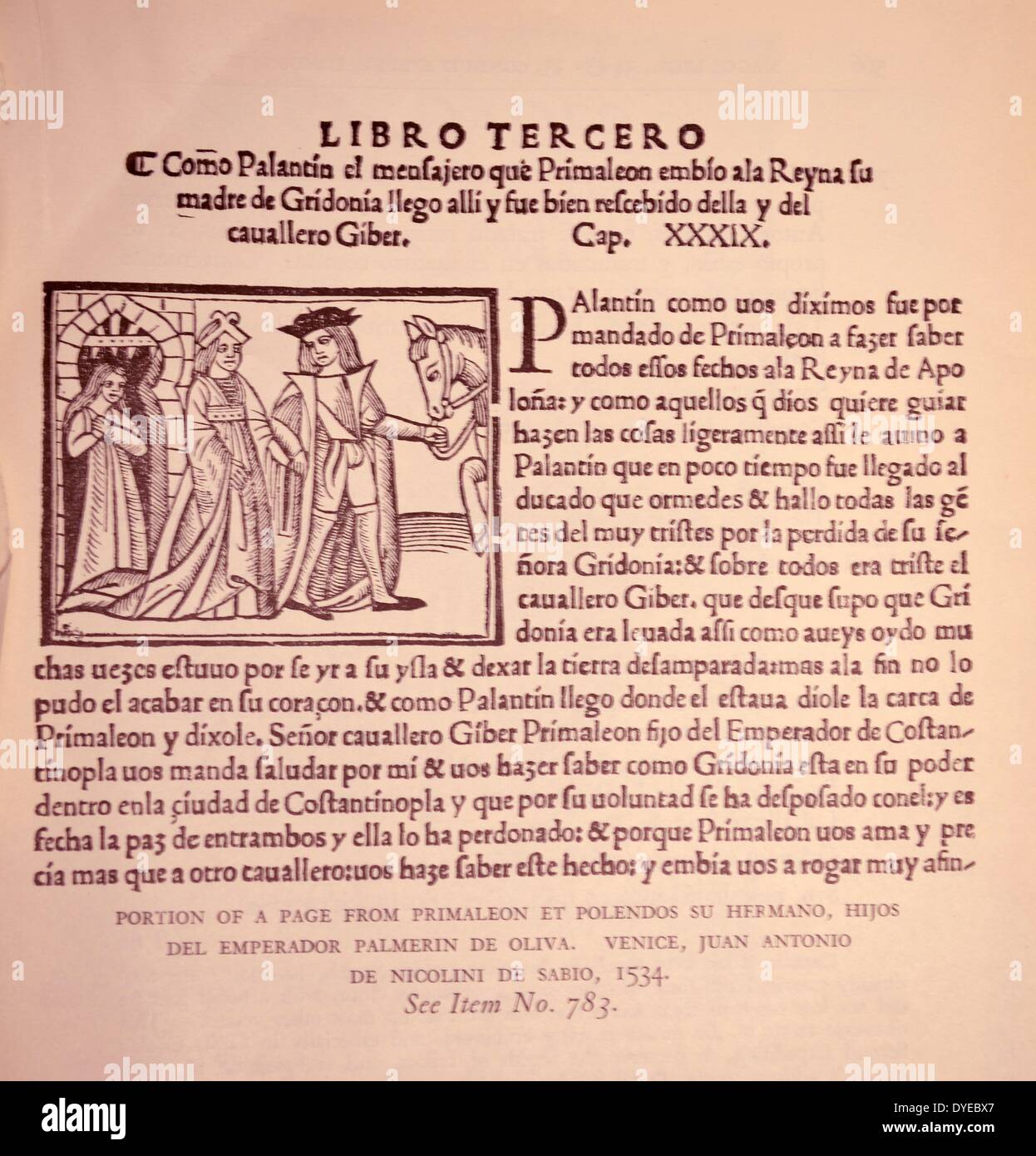 Teil einer Seite von Primaleon et Polendos su Hermano, Hijos del Emperador Palmerin de Oliva. Venedig, Juan Antonio de Nicolini de Sabio. Vom 1534 Stockfoto