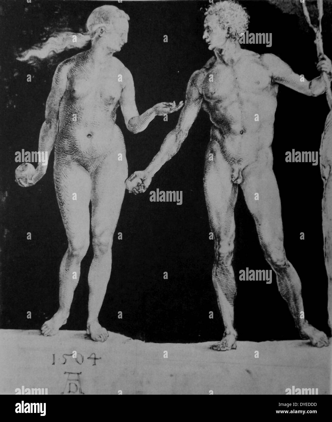 Der Fall des Menschen. Die Szene zeigt den Moment, wenn Eva die verbotene Frucht zu Adam angeboten. Von Albrecht Dürer (1471-1528), deutscher Maler, Kupferstecher, Grafiker, Mathematiker und Theoretiker aus Nürnberg. Vom 1504. Stockfoto