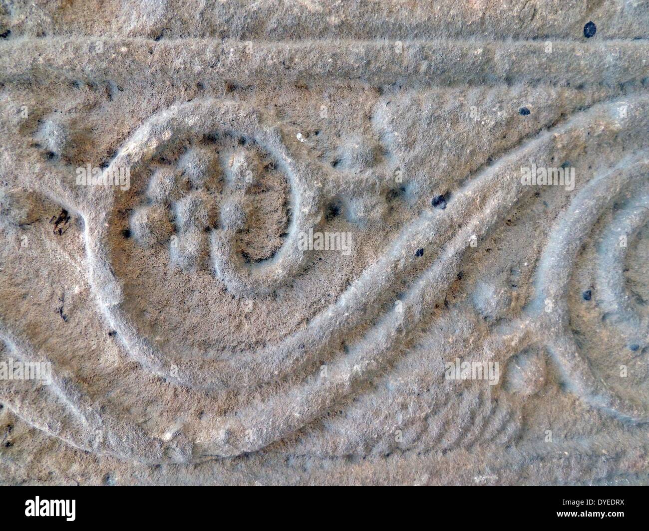 Aus dem angelsächsischen Sandstein Welle Detail aus einem Kreuz aus dem 8. Jahrhundert A.D Stockfoto