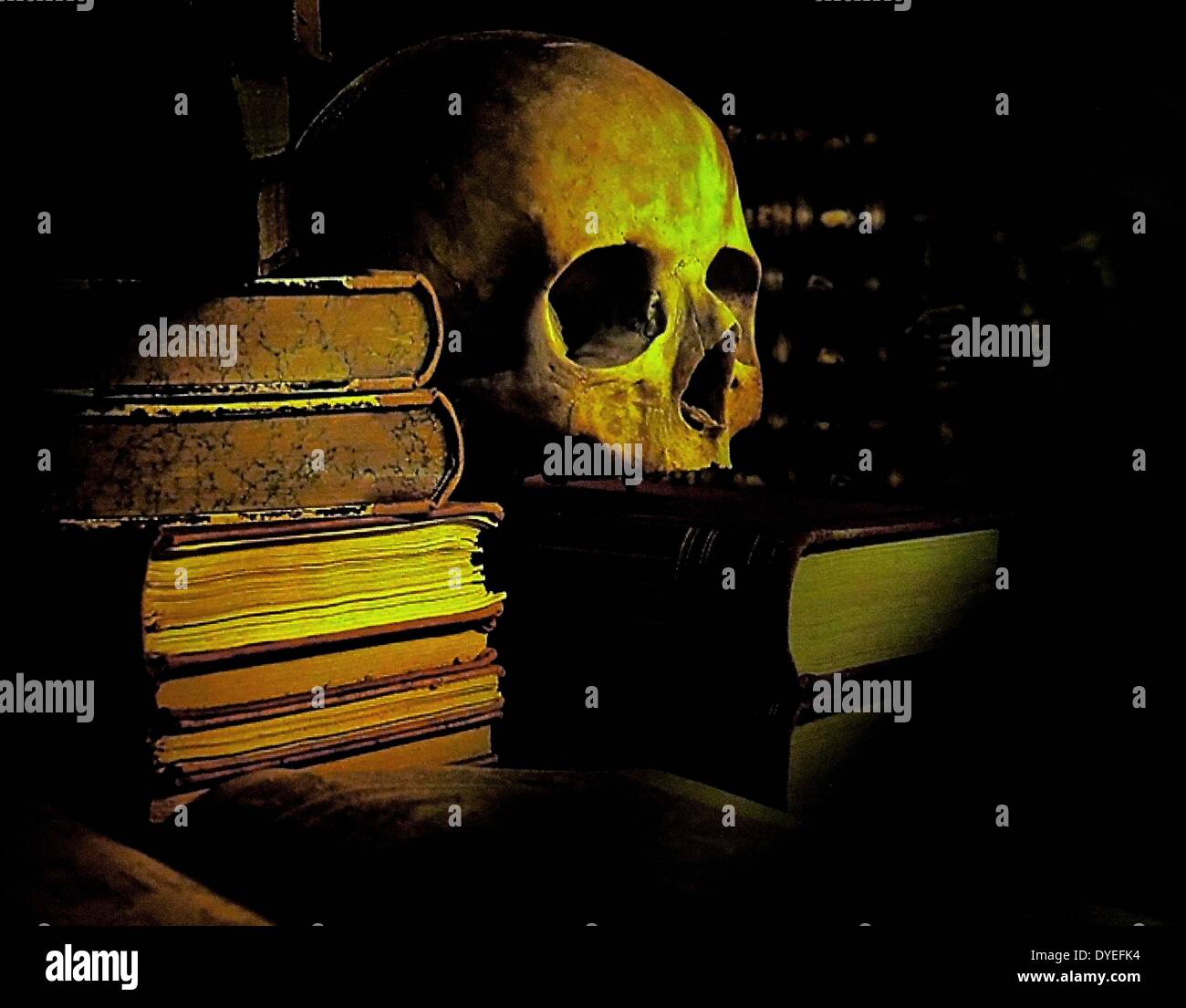 Szene mit der Darstellung eines Schädels oder Memento Mori mit Büchern 2013. Teil von William Shakespeare Ausstellung. Stockfoto