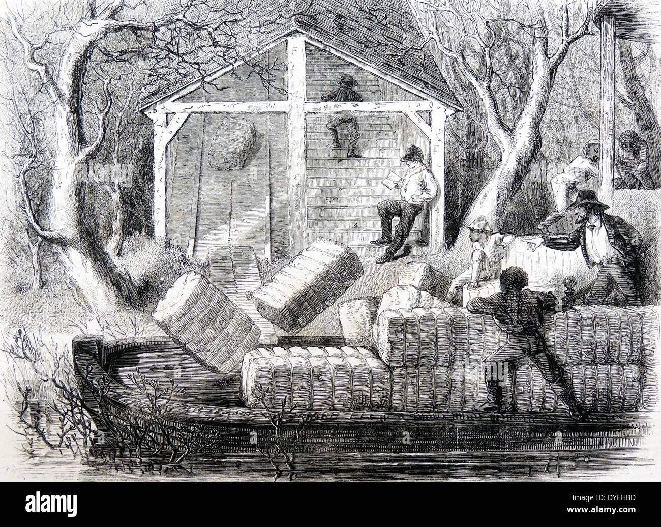 Baumwollballen auf ein Boot an der Unterseite einer Schießen auf den Alabama River, USA geladen. Aufseher, rechts, Regie Sklavenarbeit. Holzschnitt, London, 1861. Stockfoto