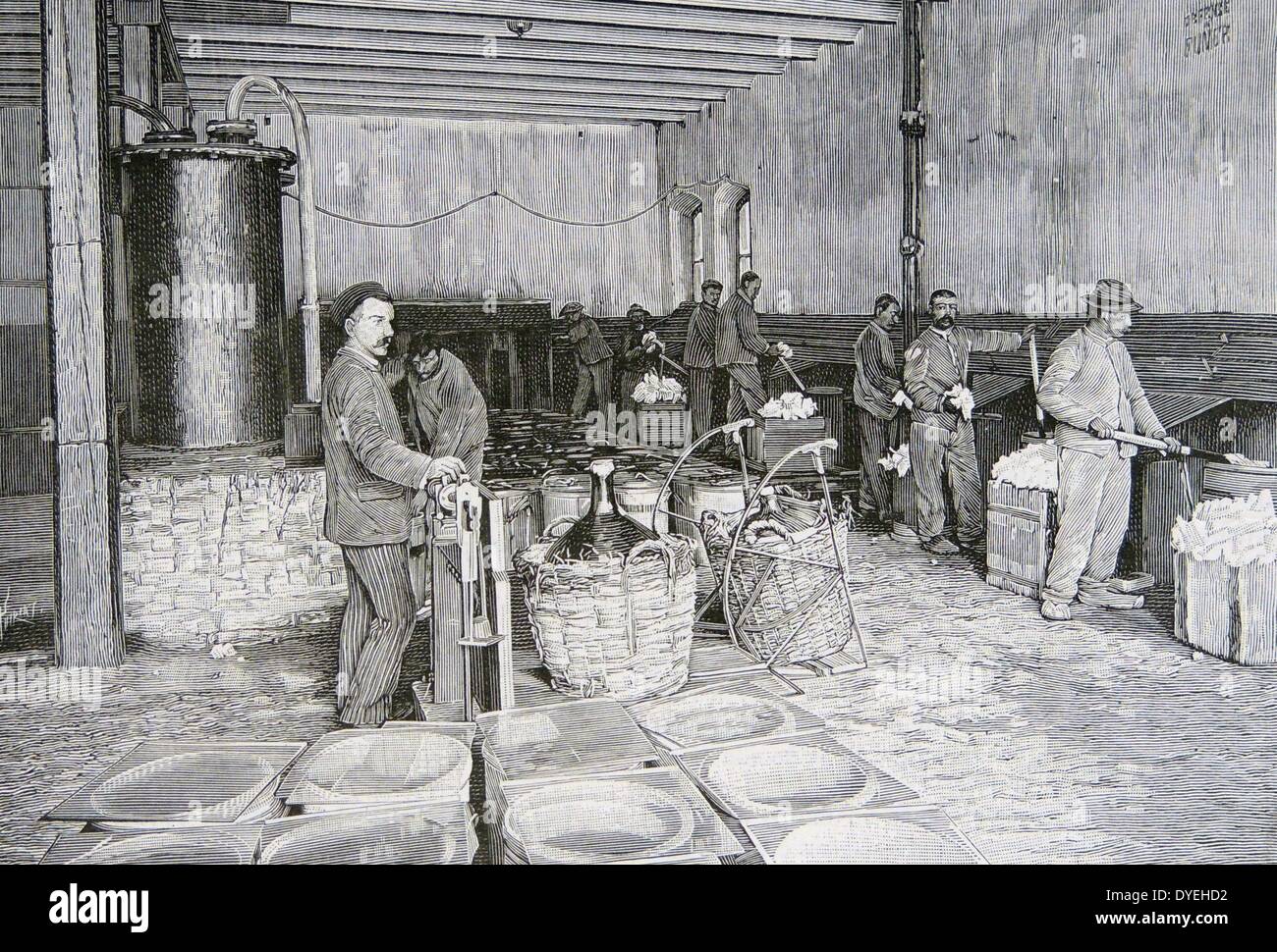 Chardonnet Seide - Rayon - das erste kommerziell produzierte Man-made Faser. Die Nitro-Cellulose "Baumwolle", sehr ähnlich zu gun-Baumwolle und leicht entzündlich. Von "La Nature", Paris, 1898. Stockfoto