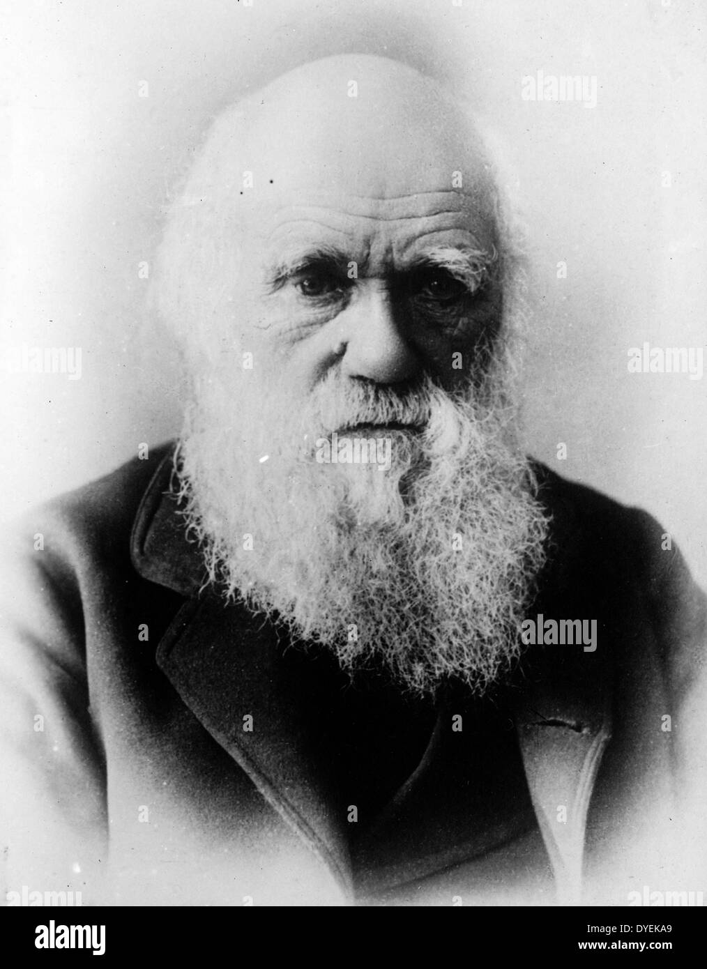 Charles Darwin 1809 - Naturforscher 1882 und Exponenten der Theorie der Evolution, um 1880 fotografiert. Stockfoto