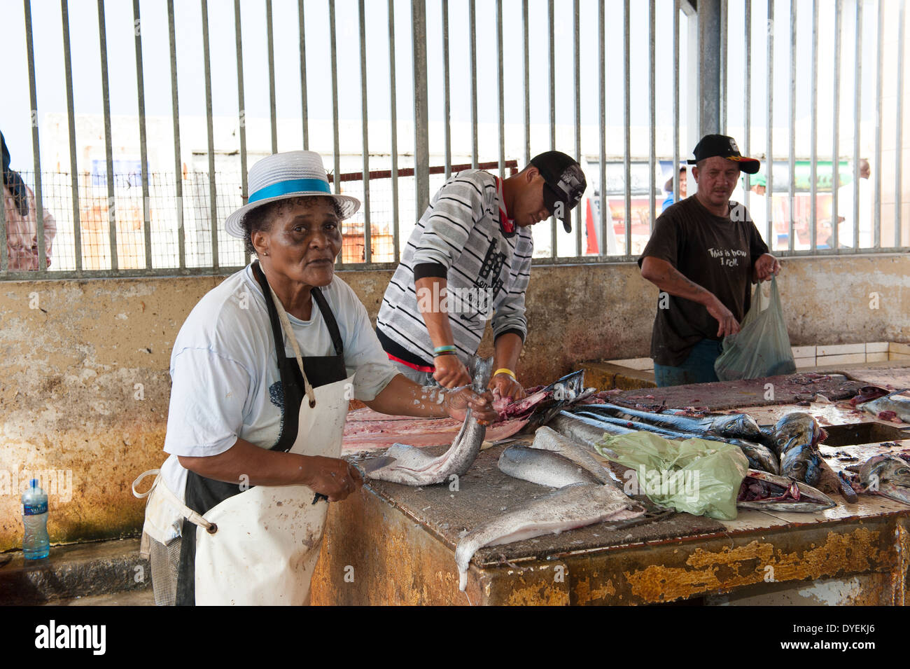 Weibliche Anbieter schneidet frischen Fisch in Kalk Bay Harbor Markt, Western Cape, Südafrika Stockfoto