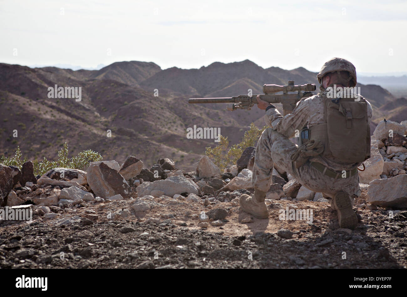 marines scout sniper training