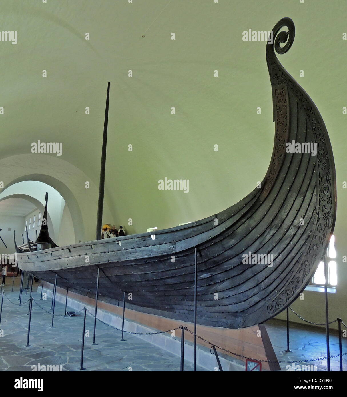 Das Oseberg-schiff. Ein Wikingerschiff in einem großen grabhügel am Oseberg Farm in der Nähe von Tønsberg in Vestfold County, Norwegen entdeckt. Aus der Zeit um 800 N.CHR., das Schiff durch die Norwegische Archäologen Haakon Shetelig, schwedischer Archäologe Gabriel Gustafson 1904/05 ausgegraben wurde. Das Schiff ist an der Viking Ship Museum, in Bygdøy angezeigt. Stockfoto