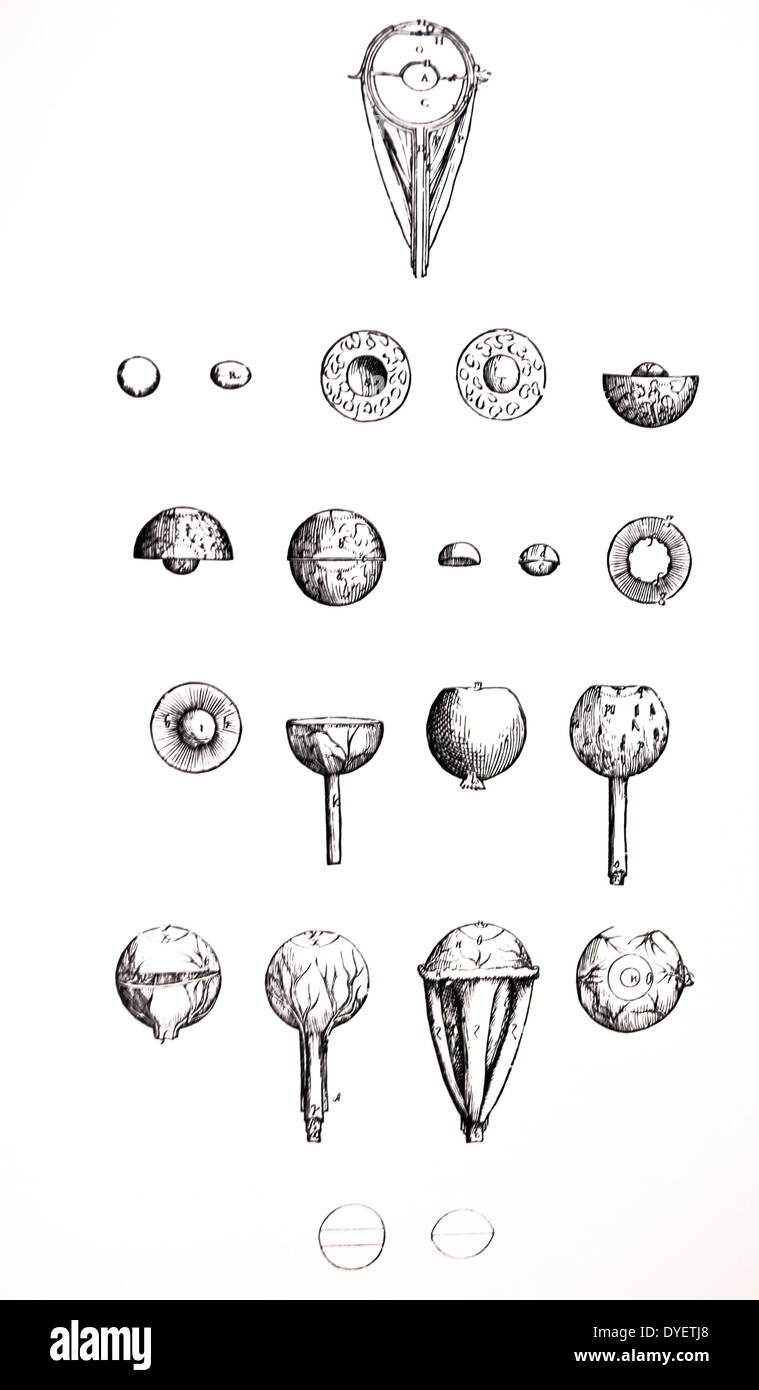 Die Platten aus dem 7. Buch der De Humani Corporis Fabrica von Andreas Vesalius (1514-1564) Platte 73 - diese Figur, die erste unter denen, das vorliegende Kapitel angehängt, stellt eine Hälfte des Auges, die durch eine einzelne antero-posterior Schnitt durch den optischen Nerv, das heißt, gerade so, als ob man eine halbe Zwiebel zu zeichnen, unterteilt in Längsrichtung von der Oberfläche, die sich in Kontakt und Durchgang mit der anderen Hälfte geteilt worden war. Stockfoto