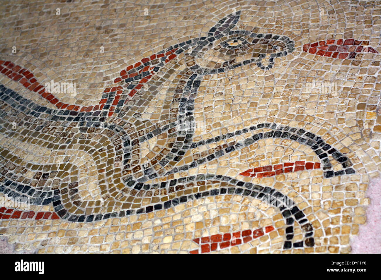 Mosaikfußboden aus einem Haus in Aquae Sulis. Übersicht Pferde und andere Kreaturen in den Farben. Aquatische Szenen mit Meer Tiere waren beliebte Designs in Badehäuser. Vermutlich 3.-4. Jh. nach Chr.. Stockfoto
