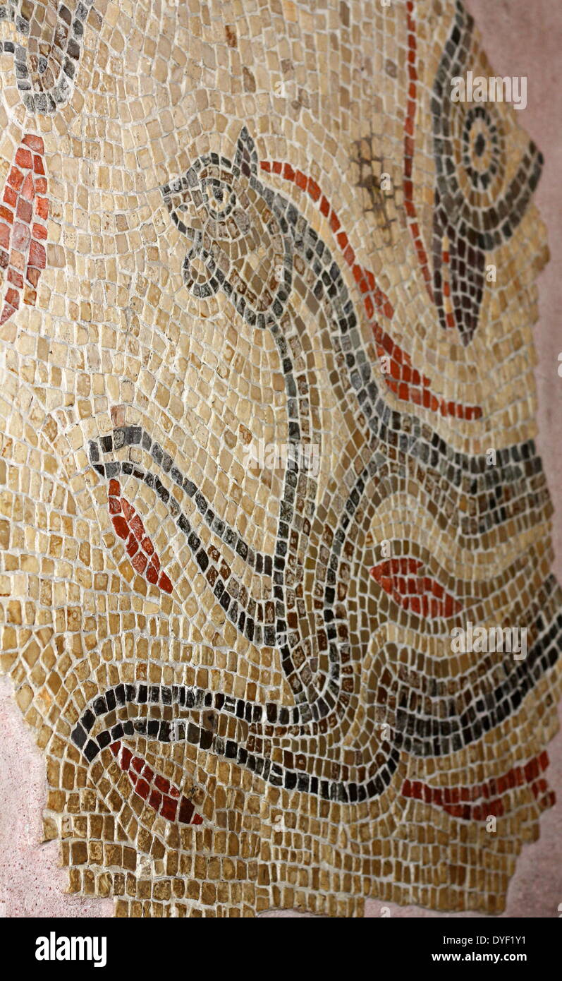 Mosaikfußboden aus einem Haus in Aquae Sulis. Übersicht Pferde und andere Kreaturen in den Farben. Aquatische Szenen mit Meer Tiere waren beliebte Designs in Badehäuser. Vermutlich 3.-4. Jh. nach Chr.. Stockfoto