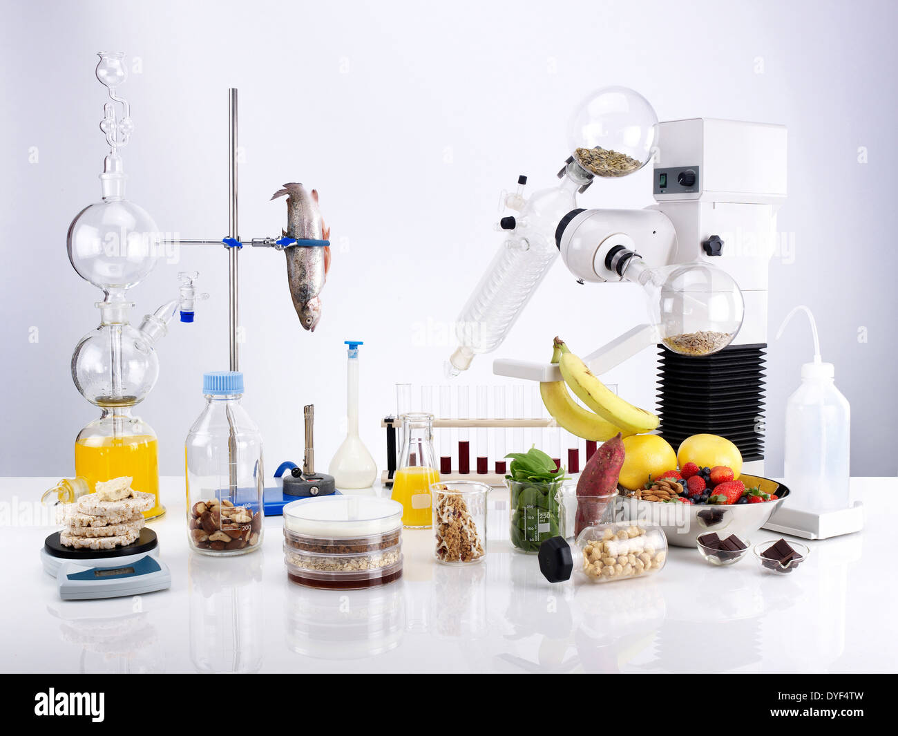 Wissenschaftliche Essen Gruppierung, medizinische Tests Setup von Lebensmitteln auf grau Stockfoto