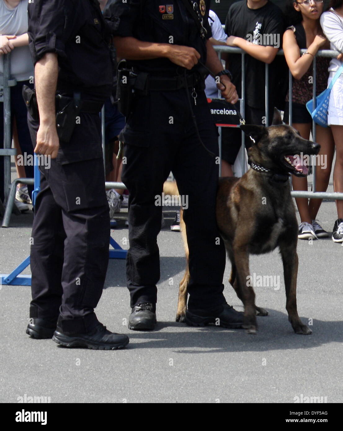 Polizei und Polizeihund 2013. Stockfoto