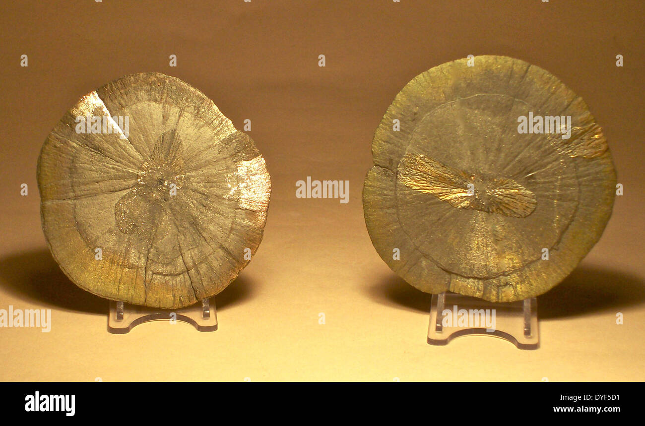 Pyrit-Sonne-Scheiben, von den Kohleminen von Sparta, Illinois, USA. Ursprünglich gedacht, um die versteinerten Sand Dollar gewesen sein. Stockfoto