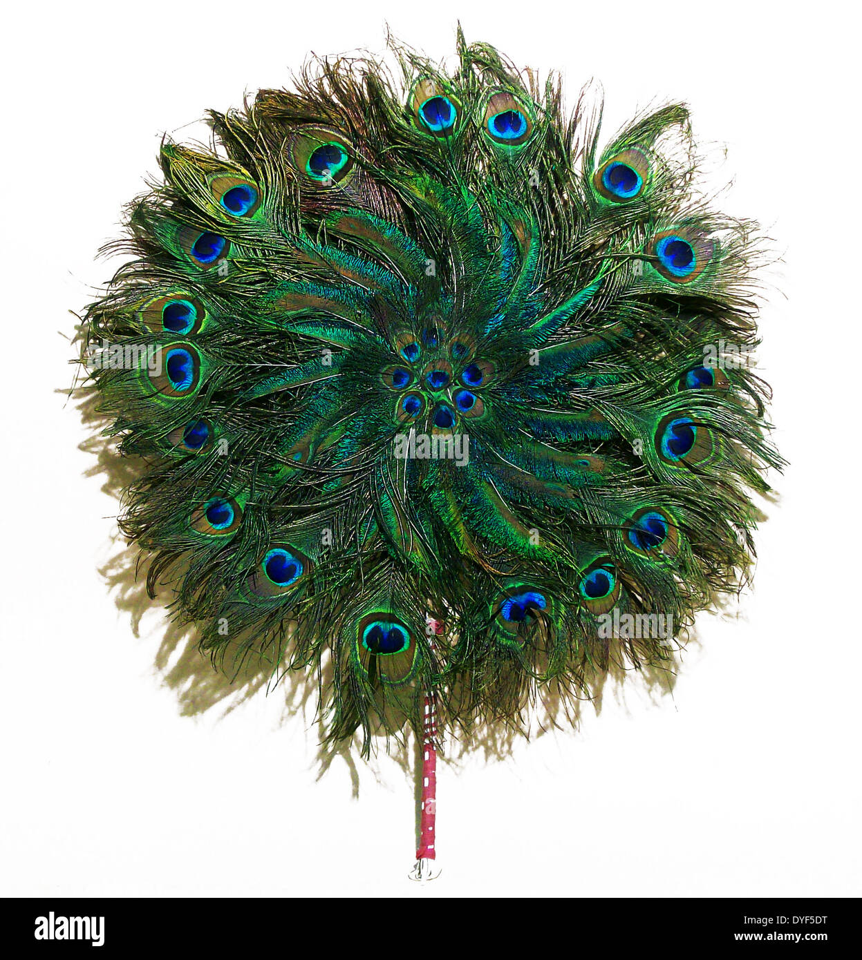 Ein Pfau Fan Stockfotos Ein Pfau Fan Bilder Alamy