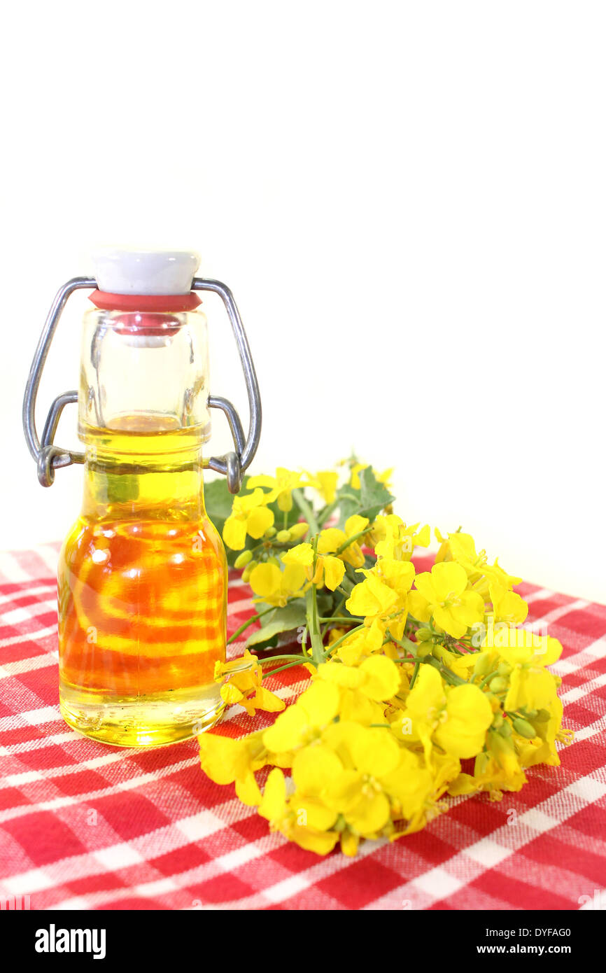 eine Flasche Rapsöl und Raps Blumen vor weißem Hintergrund Stockfoto
